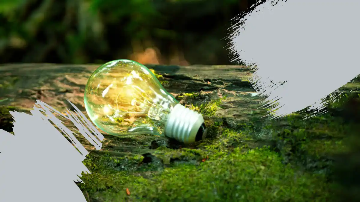 Marcas sustentables, más allá de la causa ambiental