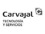 Carvajal Tecnología y Servicios