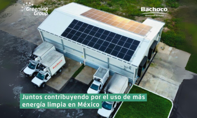 Greening Group avanza en la puesta en marcha de instalaciones de autoconsumo con Grupo Bachoco en México