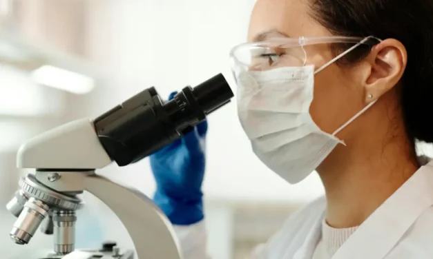 Reskilling y liderazgo femenino en STEM: motores del futuro tecnológico en México y Latinoamérica