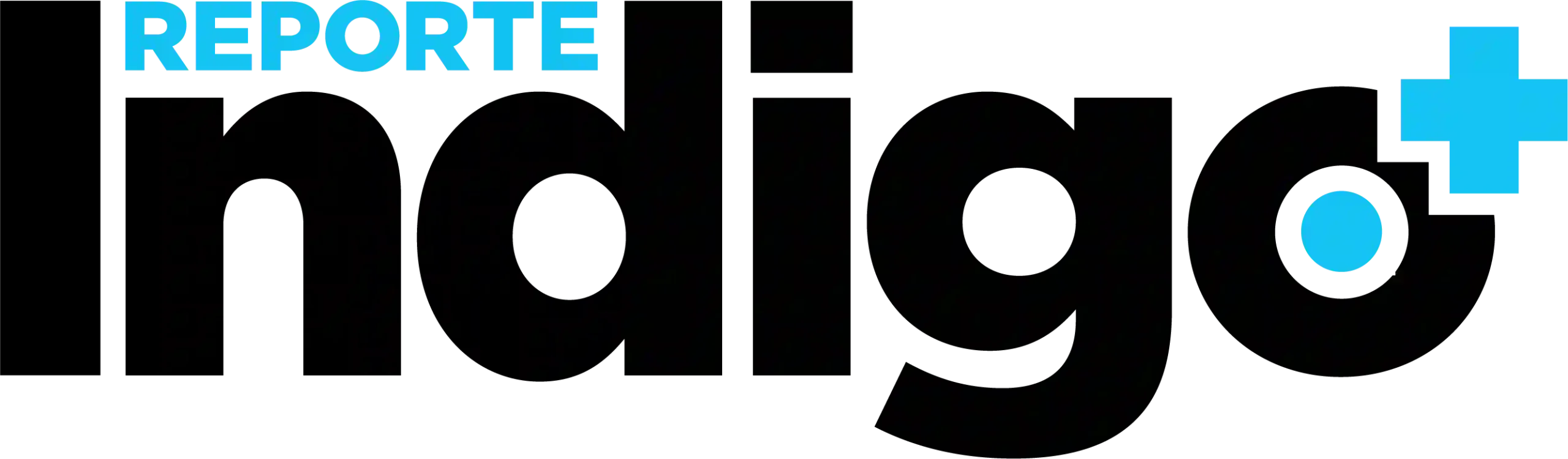 Logotipo de Reporte Indigo